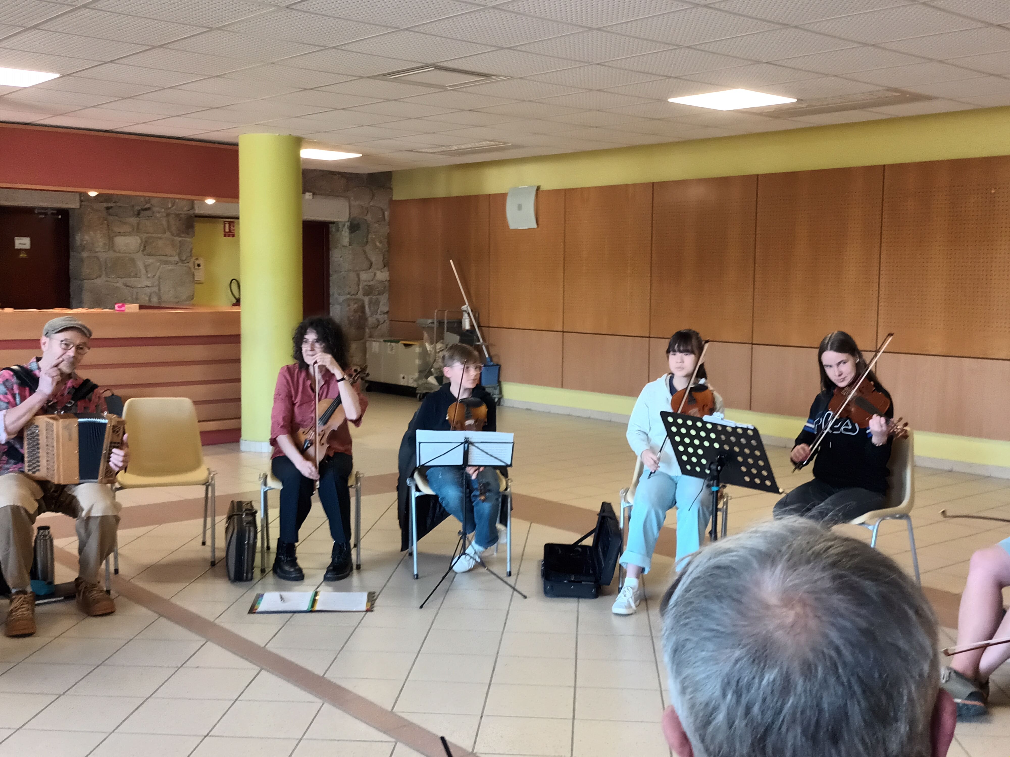 Article Stage de musique traditionnelle de l'activite Violon